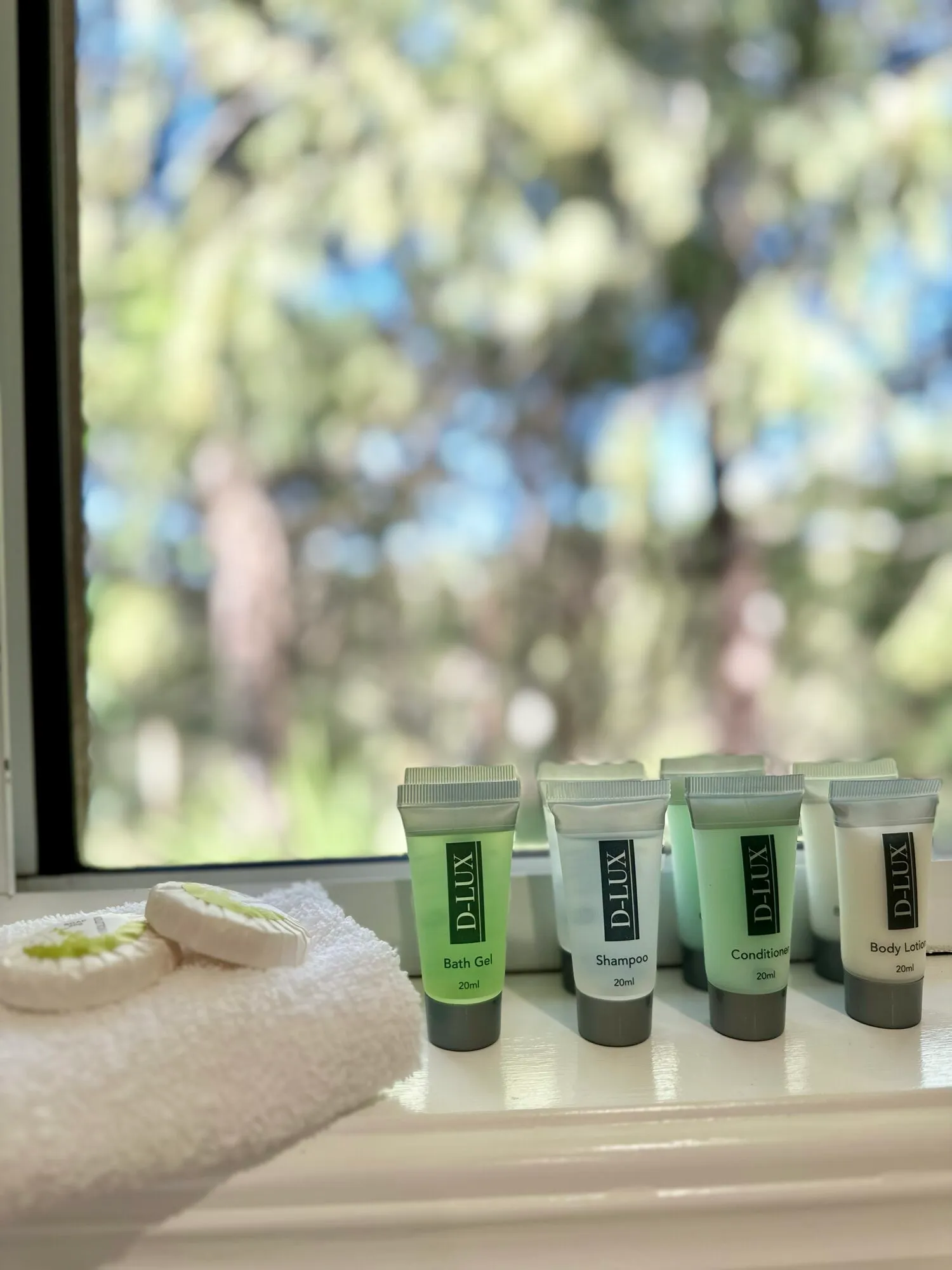 Guest toiletries provided