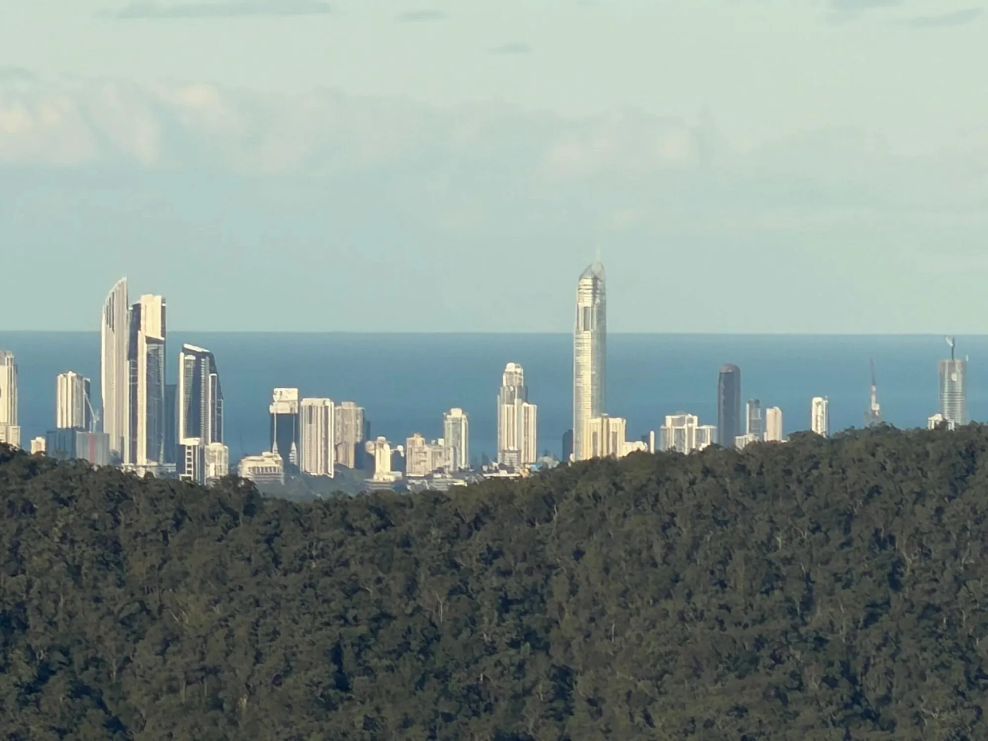 Gold Coast skyline over the treeline and ocean
