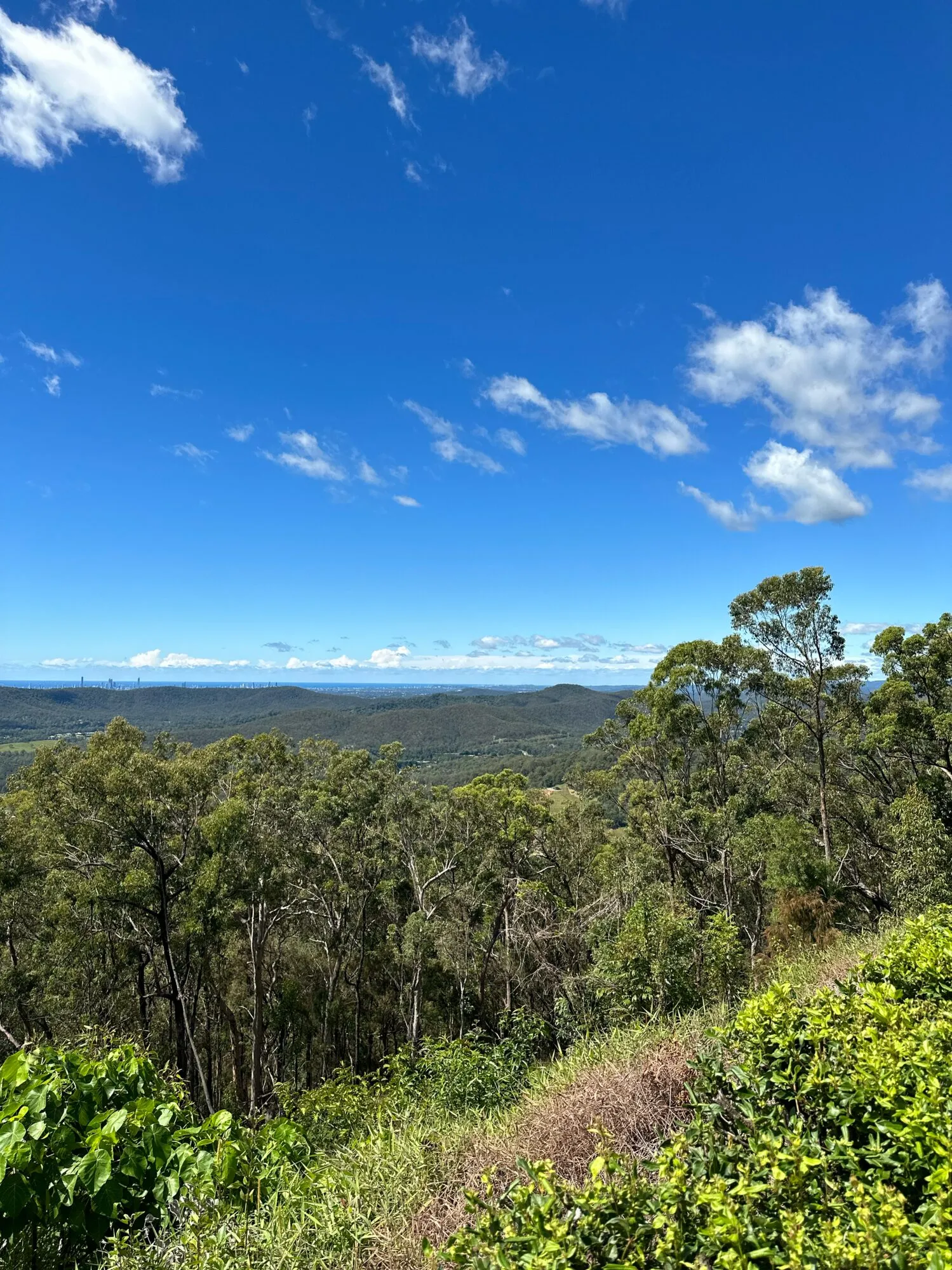 Sweeping hinterland and forest view